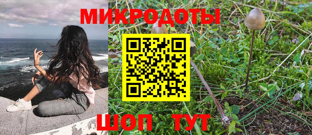 Канаш  Псилоцибиновые грибы Psilocybe  купить закладку  Вход с VPN  Псилоцибиновые грибы мицелий 